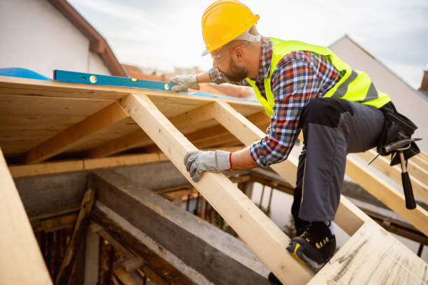 Roof Gutter Cleaning in Libertyville, IL