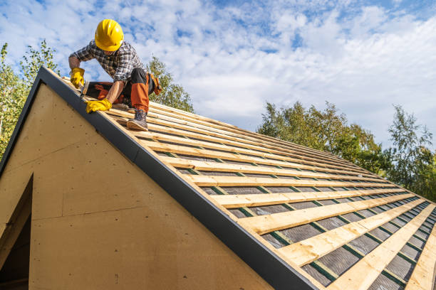 Best Roof Gutter Cleaning  in Libertyvle, IL